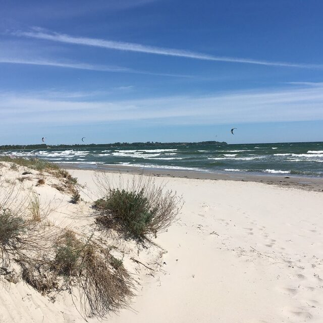 Weite Dünenlandschaft mit Strandhafer und Blick auf den Sandstrand und die Ostsee.