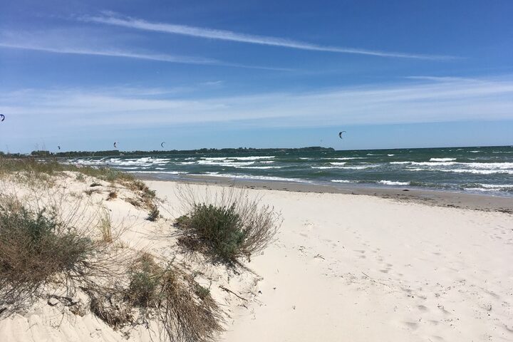 Dünen mit Strandhafer und Blick auf den weiten Sandstrand und die Ostsee.