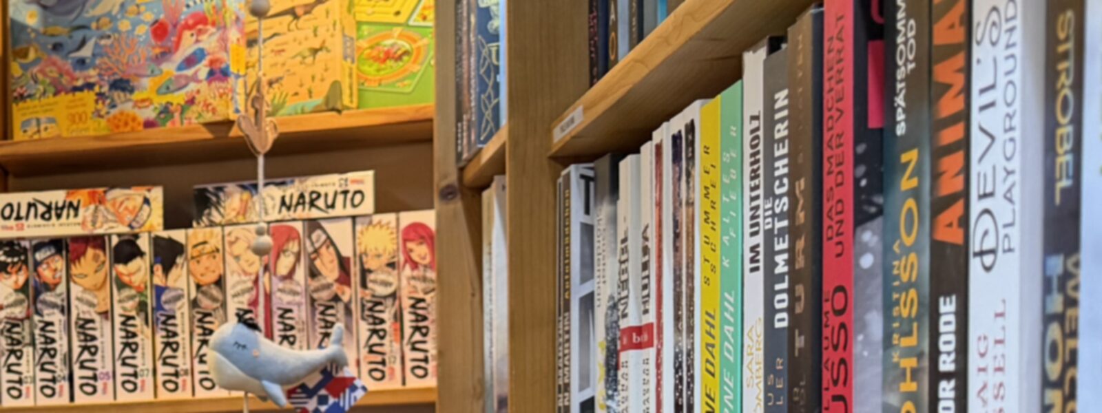 Warm beleuchtetes Bücherregal in der Strandgut Buchhandlung mit bunten Buchrücken.